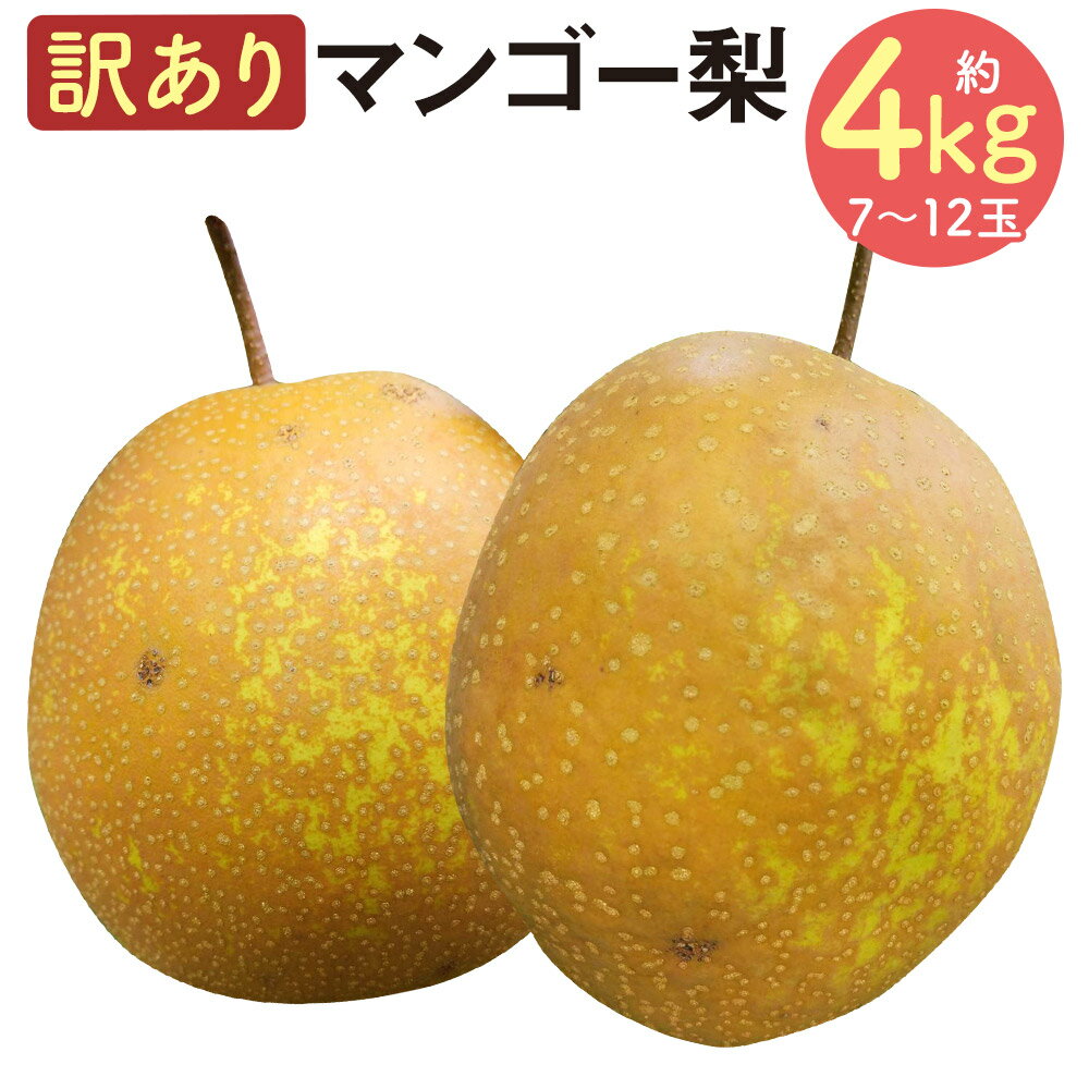 【ふるさと納税】訳あり マンゴー梨 約4kg 7～12玉 ご家庭用 キズあり 黒斑あり 王秋梨 なし フルーツ 果物 球磨郡産 熊本県産 九州産 人吉市 送料無料【2025年10月下旬より2025年12月下旬迄順次発送予定】