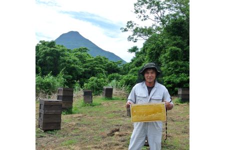 はちみつ 蜂蜜 南国指宿の花々から採れた 純粋 はちみつ 600g 鶴田養蜂場 IB047-001 はちみつ 蜂蜜