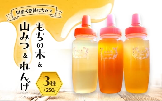 はちみつ もちの木／山みつ／れんげ 各250g×3 セット 蜂蜜 3種