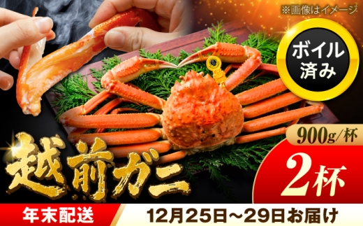 【先行予約/12月25日より順次発送】【年末希望】 越前がに 900ｇ×2杯 ズワイガニ ずわいがに ボイル 冷蔵 小浜市 / まるほ商店 【配送不可地域：北海道・沖縄・離島】[BFCS043]