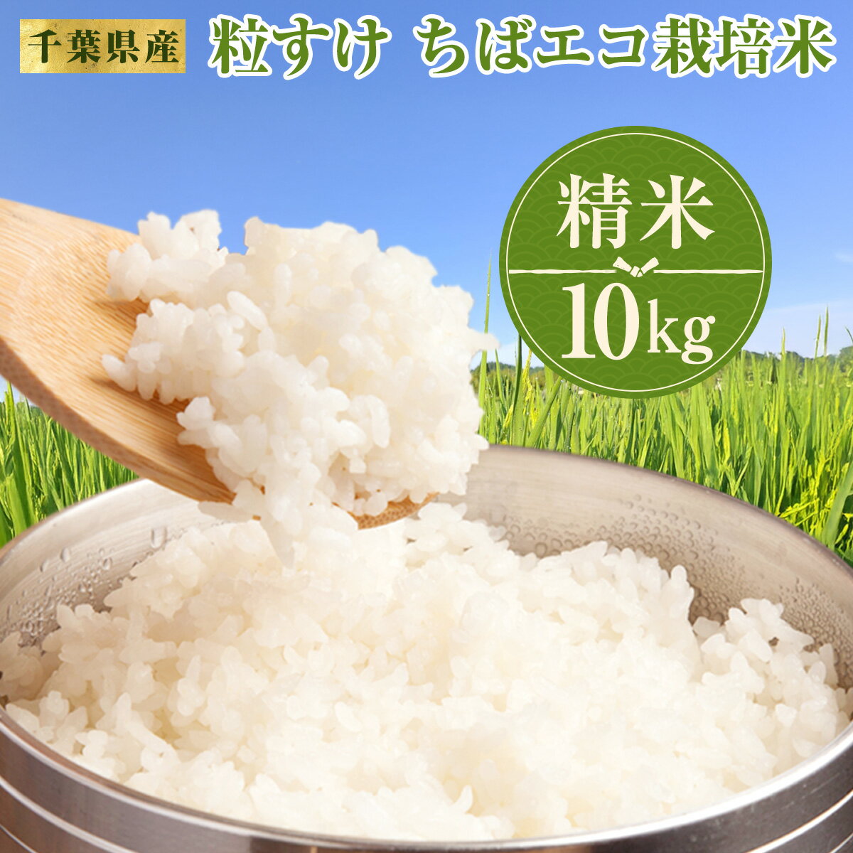 【ふるさと納税】【先行予約・令和8年産】 千葉県産　粒すけ　ちばエコ栽培米　精米　10kg　W03301 / 令和7年産 米 お米 米10kg お米10kg 千葉県産 大多喜町産 粒すけ ちばエコ米 精米