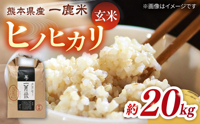 
            【先行予約】【天日塩を使用】一鹿米 ヒノヒカリ 玄米 20kg【株式会社 夢アグリ】おこめ 米 お米 ごはん げんまい  [ZCL004]
          