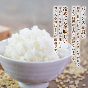 【先行予約】 令和8年産 ひとめぼれ 5kg 精米