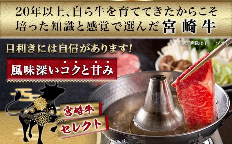 宮崎牛切り落とし500g_12-6503