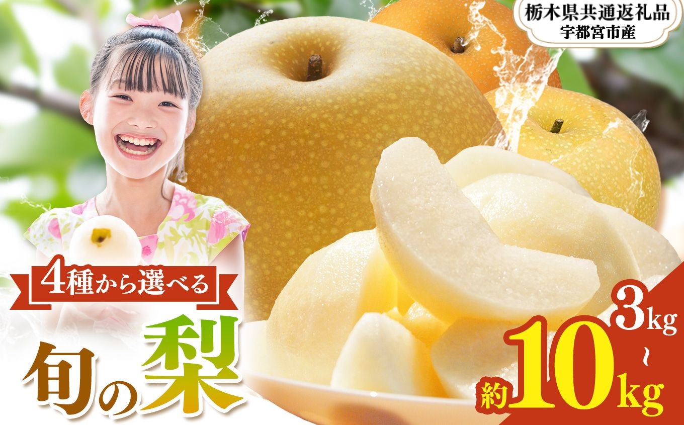 
                  【2026年先行予約】栃木県産 梨 選べる 幸水 豊水 あきづき にっこり| 3kg 5kg 10kg こうすい ほうすい あきづき なし ナシ 完熟 果物 フルーツ プレゼント ご褒美 お取り寄せ 贈答 おいしい ジューシー 数量 限定 栃木県産 栃木県 真岡市 減農薬 送料無料【栃木県共通返礼品 宇都宮市産】 
                