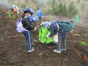 【ふるさと納税】1263富士山を「守る」〜富士山麓ブナ林創造事業〜C