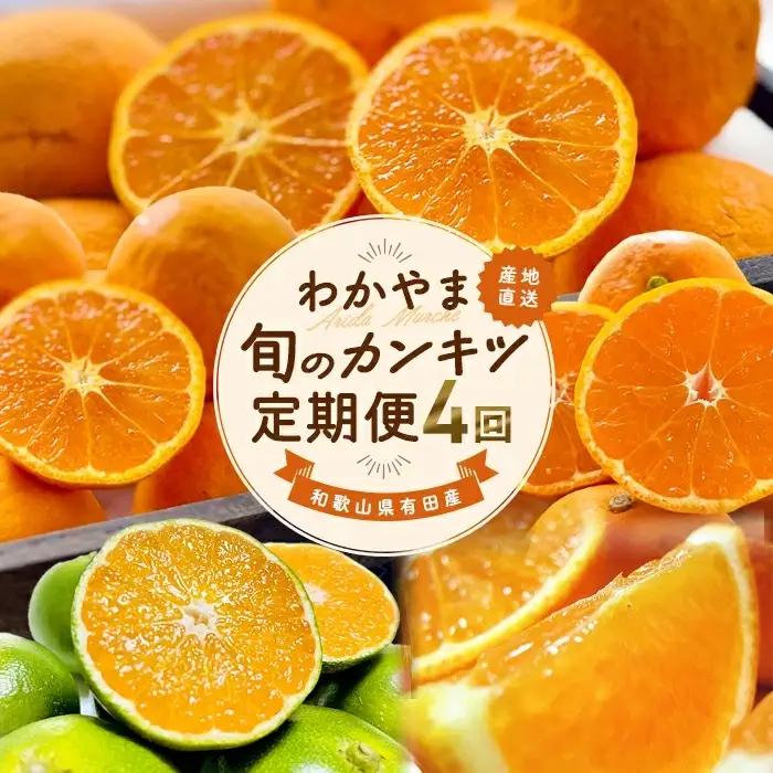 【全4回】和歌山旬のカンキツ定期便【S】3・5・9・11月発送（ご家庭用）（配送日時指定不可）※北海道・沖縄・離島への配送不可 / 定期便 フルーツ みかん 清見オレンジ 青切り 青切りみかん カラマンダリン 4回【ard-tkb905】