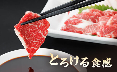 特選霜降り馬刺し（中トロ）計300g（3pc）＋タレ小【馬刺しの郷 民守】 九州 冷凍 特選 中トロ  熊本県 特産品 霜降り 馬刺し タレ付き [ZBL008]