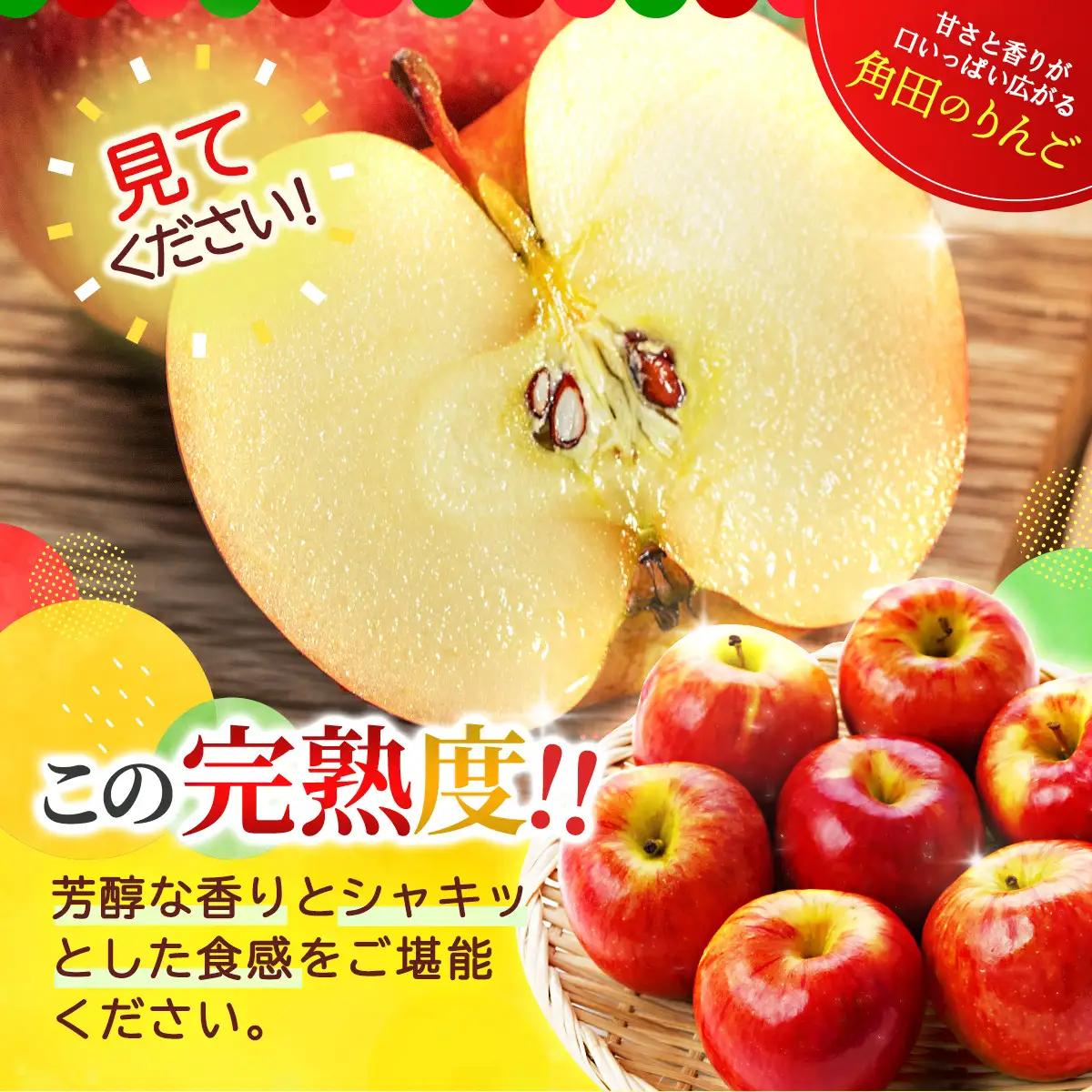 【2026年発送／先行予約】【松崎果樹園】品種おまかせ 旬のりんごと洋梨詰合せ 約5kg ｜ 洋梨
