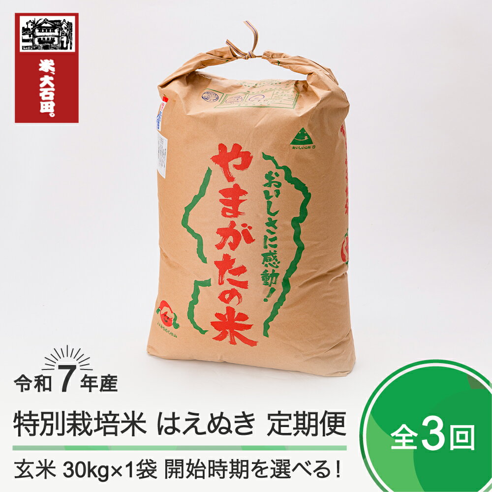 【ふるさと納税】 新米 米 3回定期便 令和7年産 はえぬき 30kg×3回　 大石田町産 特別栽培米 玄米 送料無料 大石田※沖縄・離島への配送不可 ja-hagxa30x3-tkk