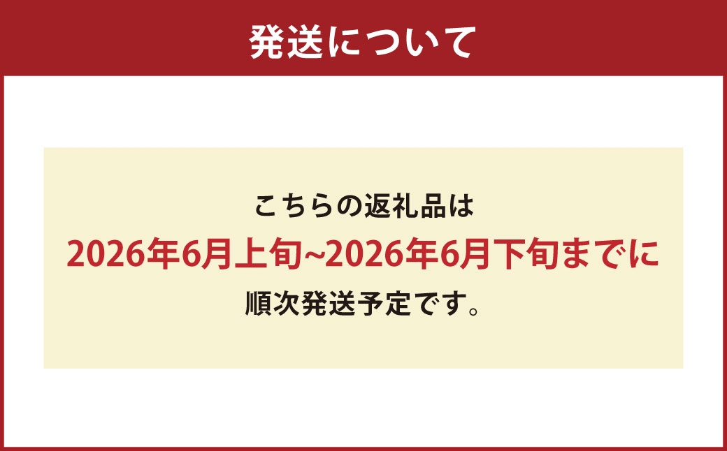 肥後グリーンメロン