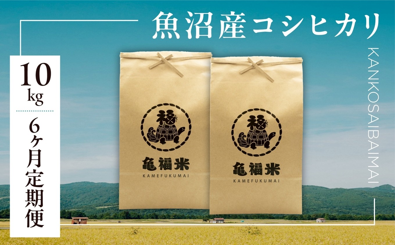 
                  【6ヶ月定期便】令和7年産 魚沼産コシヒカリ「亀福 慣行栽培米」10kg(5kg×2袋) | お米 おこめ 白米 精米 おすすめ 人気 新潟県 津南町 株式会社亀福
                