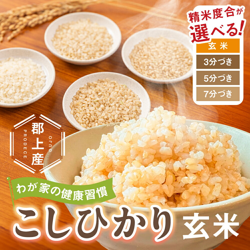 【ふるさと納税】令和7年産 郡上産こしひかり 玄米 5kg 10kg 《選べる精米度合》3分づき 5分づき 7分づき 食品 米 精米 コシヒカリ お米 コメ こめ 米 12000円 24000円 G0556