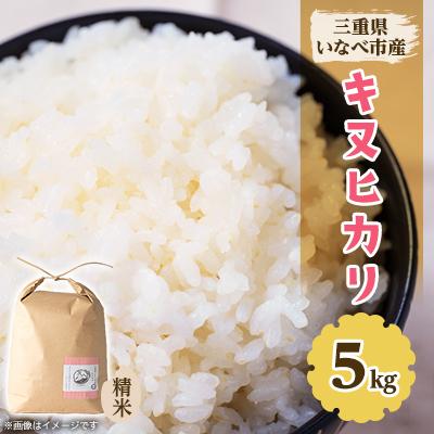 ふるさと納税 いなべ市 令和7年産　キヌヒカリ 5kg