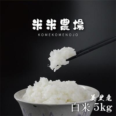 ふるさと納税 美里町 【令和7年産】熊本県美里町のお米 ヒノヒカリ 5kg×1袋