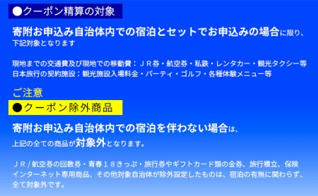 日本旅行　地域限定旅行クーポン【300,000円分】