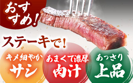 【全国有数のブランド牛】佐賀牛サーロインブロック 5kg【がばいフーズ】A5ランク 佐賀牛[HCS109]