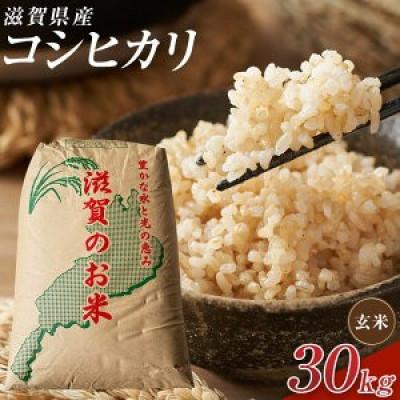 ふるさと納税 甲賀市 【令和7年産】近江米コシヒカリ玄米30kg