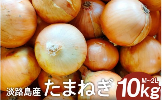 淡路島産たまねぎ 10kg入り箱【2月下旬までの期間限定商品】