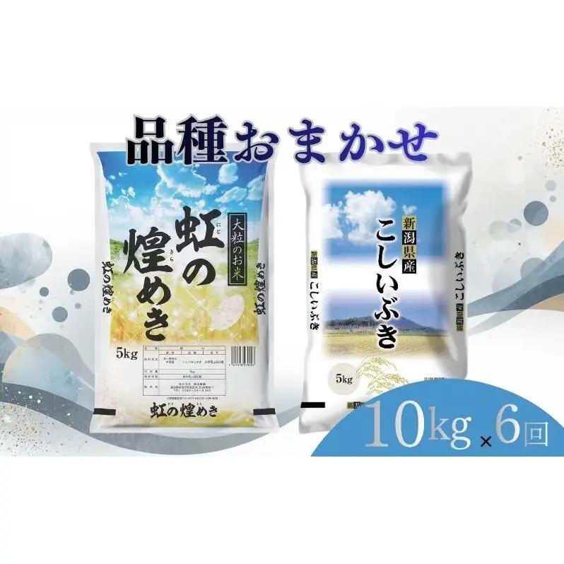 【6月上旬より配送】 新潟県産 品種おまかせ 10kg  6か月定期便 新潟県 新潟市産 令和7年産 お米 精米 米 ご飯 送料無料
