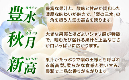 【先行予約】厳選おまかせ梨 約5kg 梨 豊水梨 秋月梨 新高梨 果物 フルーツ 【日本フルーツ株式会社】[ZFJ067]