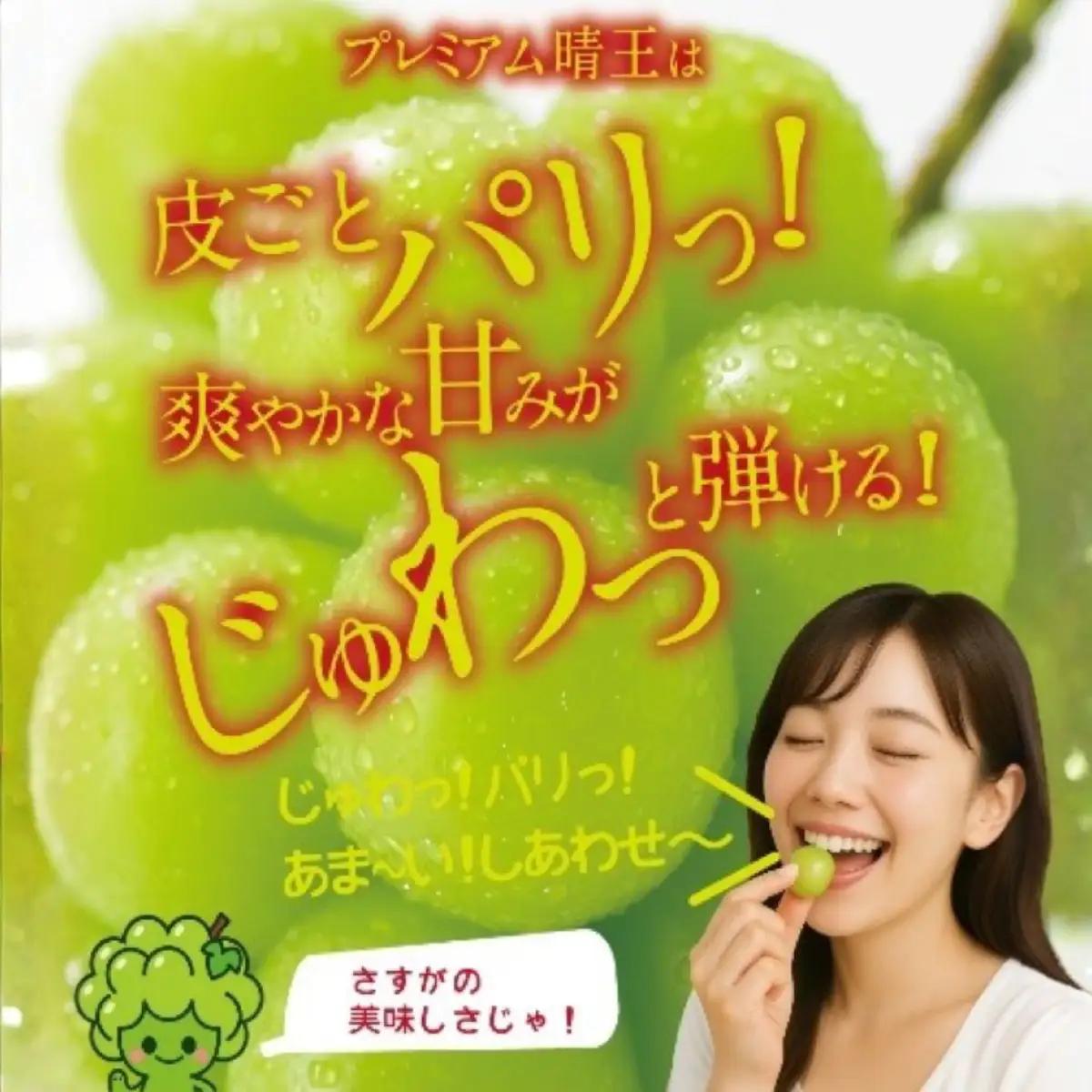 【2回定期便】木熟ぶどう ハレノシャイン シャインマスカット プレミアム 晴王 １房( 800g以上)2回お届け | シャインマスカット 晴王 ハレノシャイン 木熟ぶどう プレミアム 800g以上 1