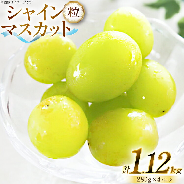 【ふるさと納税】 【期間限定発送】 シャインマスカット 粒 280g 4p 1.12kg 朝採れ [もん前の里 山形県 高畠町 tk06ays960007] フルーツ 果物 くだもの ぶどう ブドウ 葡萄 大粒 甘い