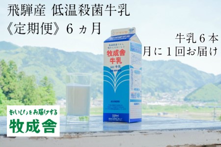 低温殺菌牛乳 6本×6カ月 定期便 牧成舎のこだわり牛乳[Q063x]