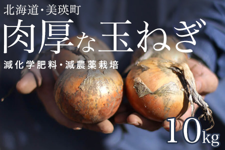 【令和8年産予約受付！】本山農場の玉ねぎ10kg 北海道 美瑛 玉ねぎ 玉ねぎ