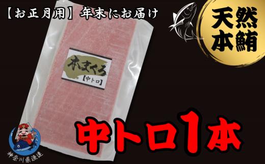 B12-014 【年内発送】神奈川県漁連　天然本マグロ　中トロサク【お正月用】