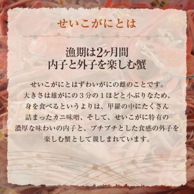 ふるさと納税 越前町 地元鮮魚店厳選 ≪浜茹で≫ 越前せいこがに 10杯【11・12月発送】 |  | 01