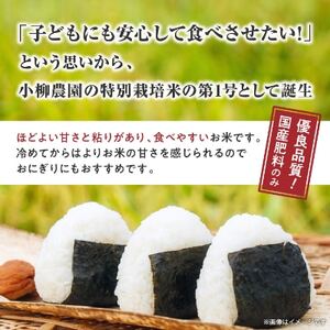 小柳農園の特別栽培米コシヒカリ15kg(5kg×3)【1204307】