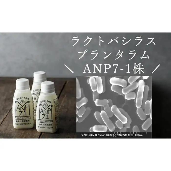 【乳酸菌1500億個】 お米の醗酵飲料 ANP71 150g×15本 冷蔵 発酵飲料