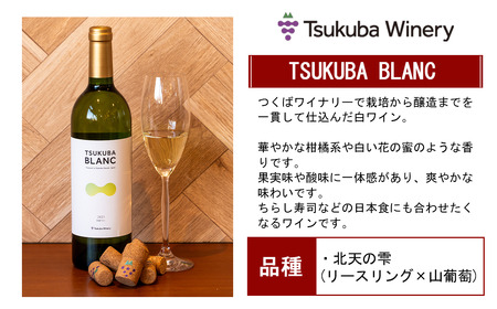 ワイン TSUKUBA BLANC & ROUGE 日本ワイン