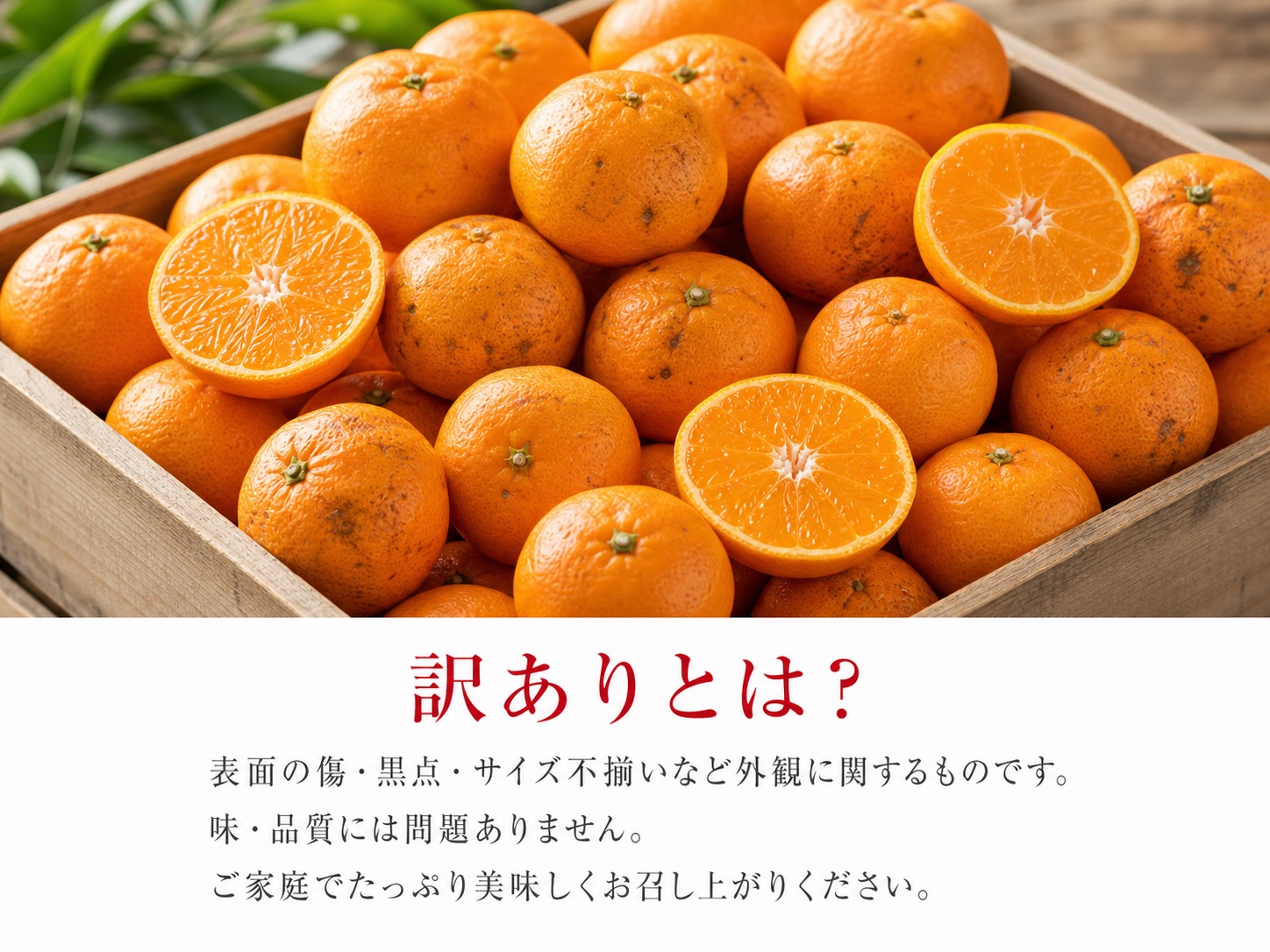和歌山有田みかん10kg【訳ありご家庭用】2S〜2Lサイズ混合 / みかん くだもの フルーツ 【uot871】