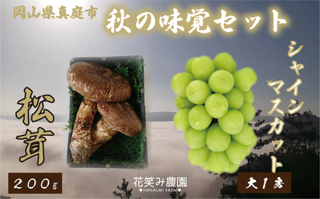 岡山 花笑み農園『松茸＆シャインマスカット』秋の味覚セット【hana22】
