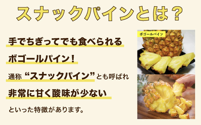 2027年 先行予約 スナックパイン 約2kg 3玉 西表島ひらい農園 パイナップル 果物 フルーツ パイン　027-a009-2027 約2kg 3玉