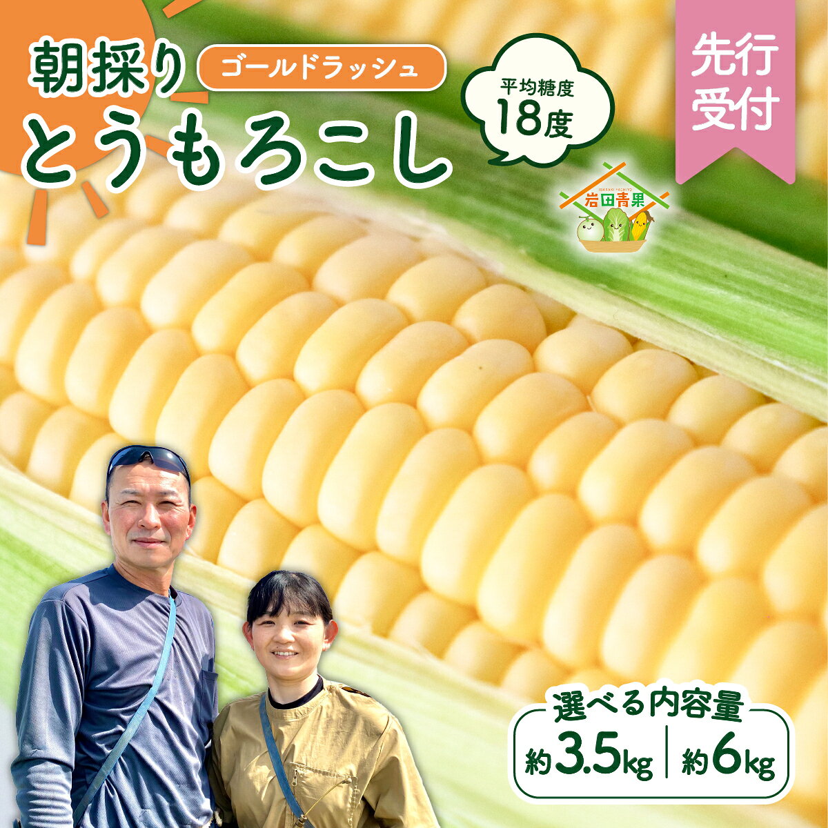 【ふるさと納税】【先行予約 令和8年産 2026年6月中旬以降発送 】 朝採り とうもろこし （ ゴールドラッシュ ） 【 選べる内容量 】 トウモロコシ 朝採り 甘い 新鮮 6kg 3.5kg スイートコーン コーン 野菜 極甘 岩田さん 2026 2026年発送 2026年先行受付 2026年