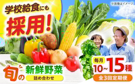 【全3回】【数量限定】厳選！旬を味わう高槻野菜おまかせ詰め合わせ定期便（10種～15種）　大阪府高槻市/高槻あぐり [AOCS019] 新鮮 野菜 やさい 産地直送 産直 旬 人気 お取り寄せ 野菜詰め合わせ 野菜セット