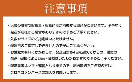 [2025年10月上旬～発送]和歌山県産 秀品 平核無柿 約7.5kg L ~ 2L サイズ 青秀品 たねなし柿 種無し柿 選果場 直送