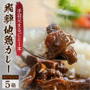 【ふるさと納税】飛騨地鶏カレー(5袋) チキンカレー 訳あり 簡易包装 地鶏 鶏肉 鳥 カレー スパイシー レトルトカレー 人気 おすすめ おいしい 便利 飛騨 飛騨地鶏 一人暮らし 1人用 1人分 2人用 2人分 10000円 1万円 [Q2481]