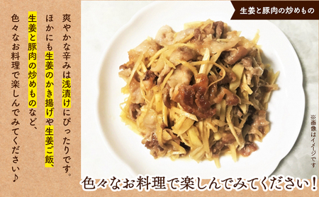生姜 4kg 香南市産 別役の生姜 - しょうが ショウガ ジンジャー 薬味 調味料 国産 株式会社べっちゃく 高知県 香南市 bc-0002