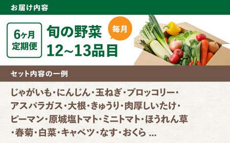 【6回定期便】野菜のプロが選ぶ 旬の野菜セット 12～13品目 野菜定期便 / 野菜 やさい セット 新鮮 / 南島原市 / 愛2農園[SGG003]