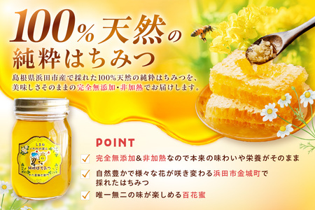 水のきれいな浜田市金城町産「いわみの里山　純粋はちみつ」500g×２本【1903】