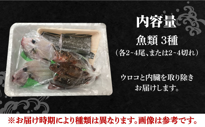 朝どれ 鮮魚 詰め合わせ 3種（2〜3人前） 下処理 あり / アジ アラカブ タイ カワハギ など  魚 新鮮 セット 冷蔵 産地直送 下処理済み / 南島原市 / 美吉屋 [SDW003]
