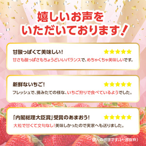 【先行受付：2025年2月発送開始】博多あまおうＧ270g×8パック｜ＪＡふくおか八女　002-023