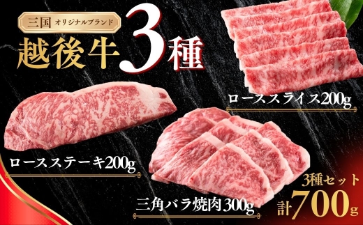 新潟 越後牛 3種 ロースステーキ 200g 三角バラ焼肉 300g ローススライス 200g 計700g 三国 | 小分け 焼肉用 冷凍 ブランド牛 焼肉 越後牛 国産牛 新潟県産 焼き肉 和牛 牛肉  バラ バラ肉 ロース ロースステーキ ステーキ スライス ローススライス  ぎゅうにく ギュウニク ビーフ beef 新潟県 小千谷市【0043-0010】