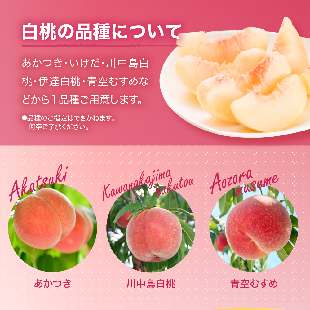 【2025年産 先行予約】 白桃＆黄桃 詰め合わせ (品種おまかせ) 3kg 東根農産センター提供 山形県 東根市 hi027-156-2