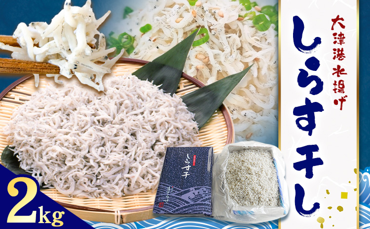 しらす干し 大津港水揚げ しらす 2kg (茨城県共通返礼品：北茨城市) 川崎水産有限会社 《30日以内に出荷予定(土日祝除く)》しらす干 減塩 茨城県 河内町 【配送不可地域あり】（沖縄・離島）