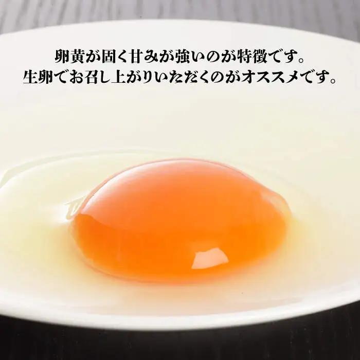 【6回定期便】最高級 卵 地養卵 Mサイズ 180個×6回定期便 長崎県産 西海市 たまご 卵 玉子 タマゴ 鶏卵 オムレツ 卵かけご飯 朝食 料理 人気 卵焼き＜垣山養鶏園＞ [CBB011]